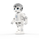 Portable Intelligent Humanoid Robot Ai robot