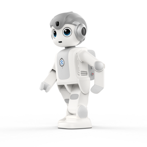 Portable Intelligent Humanoid Robot Ai robot