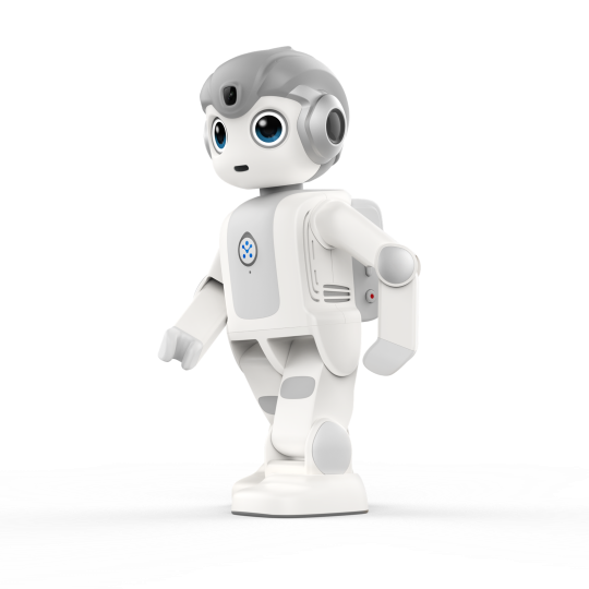 Portable Intelligent Humanoid Robot Ai robot