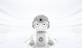 Portable Intelligent Humanoid Robot Ai robot